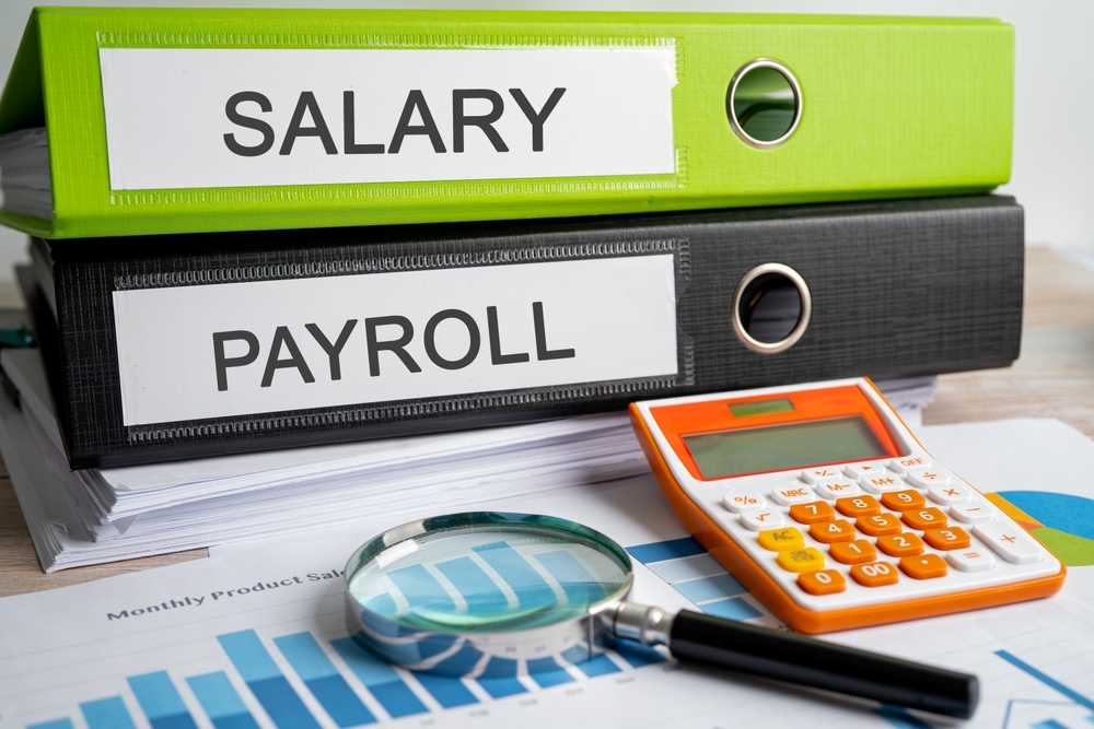 Salary,payroll.,binder,data,finance,report,business,with,graph,analysis